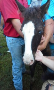 Photo Credit ChetPaila Shaw