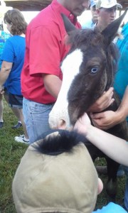 Photo Credit ChetPaila Shaw