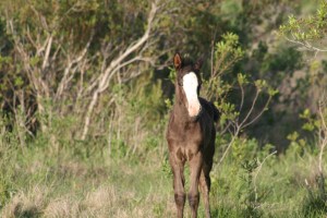 Photo Credit Lori Benson